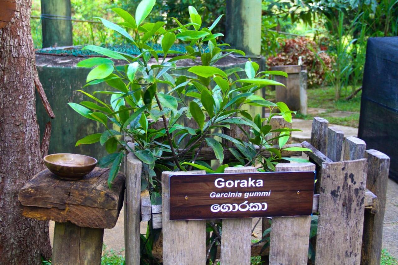 Folk Nest Eco Villa Spice Garden & Ayurvedic Wellness Centre Matara Exterior foto